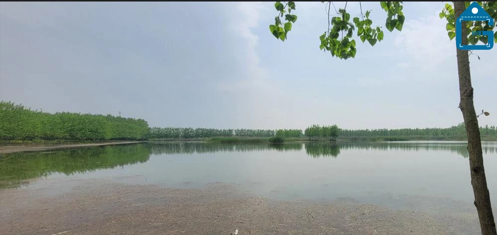 تصویر دریاچه شاهان صومعه سرا