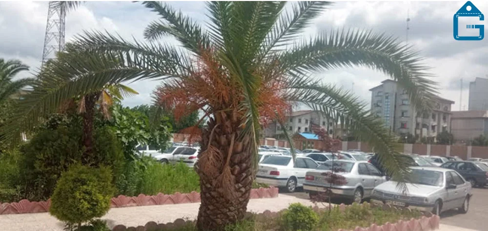 تصویر پارکینگ استخر یاس رشت