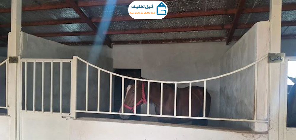 تصویر اسب باشگاه سوارکاری کاسپین پره سر